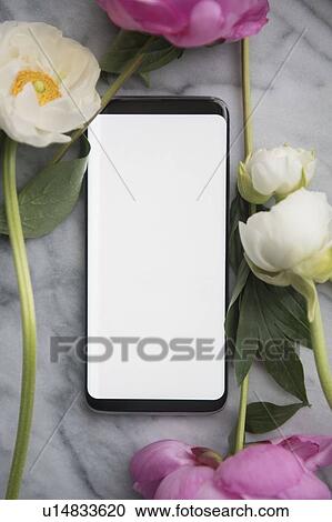 Stock Image - Smart phone and flowers. Fotosearch