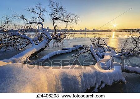 Stock Photo - Snow on fallen tree at sunset. Fotosearch
