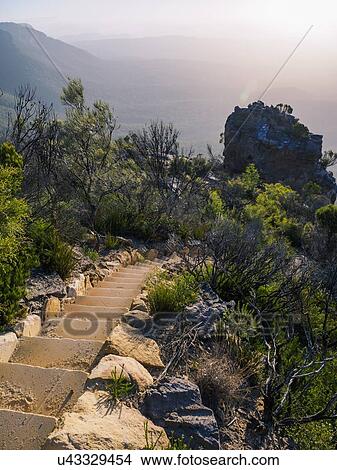 Staircase in Blue Mountains National Park View Large Photo Image Picture - Staircase in Blue Mountains National Park. Fotosearch