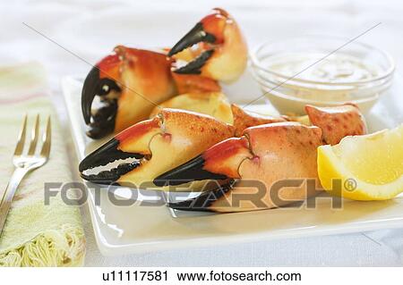Stock Image - Stone crab claws meal. Fotosearch