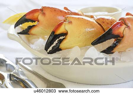 Stone crab claws meal View Large Photo Image Stock Image - Stone crab claws meal. Fotosearch
