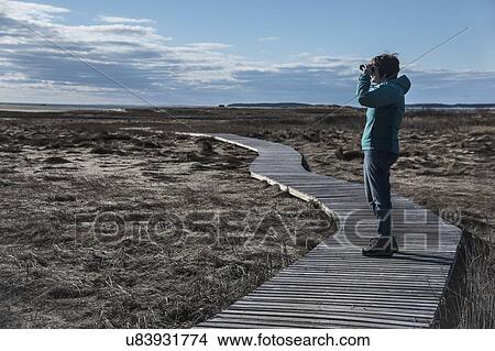 USA, Massachusetts, Cape Cod, Wellfleet, Woman standing on boardwalk and looking through binoculars View Large Photo Image Picture - USA, Massachusetts, Cape Cod, Wellfleet, Woman standing on boardwalk and looking through binoculars. Fotosearch