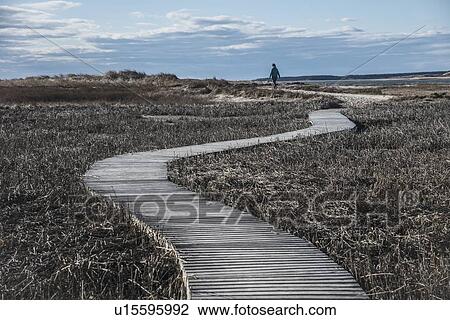 Stock Image - USA, Massachusetts, Cape Cod, Wellfleet, Woman walking on boardwalk. Fotosearch
