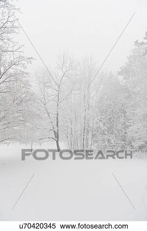 USA, New Jersey, Montclair, Landscape in winter View Large Photo Image Stock Photography - USA, New Jersey, Montclair, Landscape in winter. Fotosearch