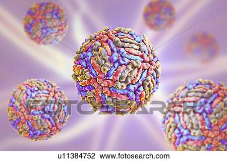 Stock Image - West Nile virus particle, computer illustration. West Nile virus (WNV) is known to cause encephalitis in humans. The WNV belongs to the flavivirus group, which are RNA (ribonucleic acid) viruses that are surrounded by an outer protein envelope. WNV is.... Fotosearch