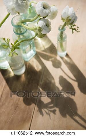 White flowers in vases on wooden table View Large Photo Image Stock Image - White flowers in vases on wooden table. Fotosearch