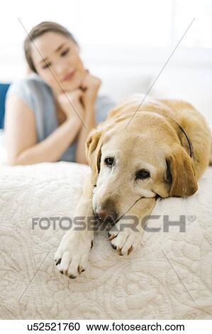 Woman lying on bed with dog View Large Photo Image Stock Image - Woman lying on bed with dog. Fotosearch