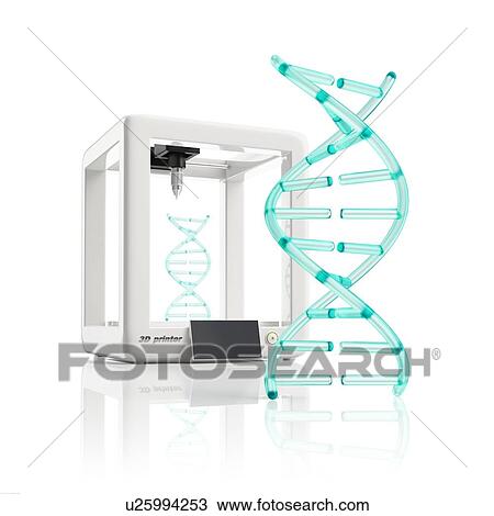 3d printer during work on the new artificial DNA molecule, illustration. View Large Photo Image Stock Image - 3d printer during work on the new artificial DNA molecule, illustration.. Fotosearch