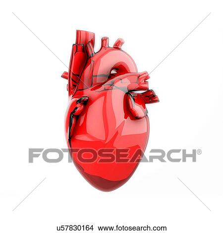 Picture - A blood donation concept, anatomical heart made by bag. 3D illustration isolated on white background.. Fotosearch