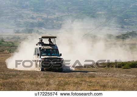 Picture - A safari vehicle driving in the Ndutu area, Ndutu, Ngorongoro Conservation Area, Serengeti, Tanzania. Fotosearch