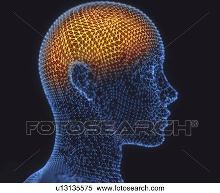 Stock Photography - Abstract human head, illustration.. Fotosearch