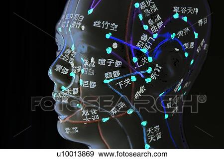 Stock Photo - Acupuncture model against a black background.. Fotosearch