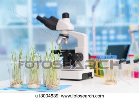 Stock Photo - Agriculture research, conceptual image.. Fotosearch
