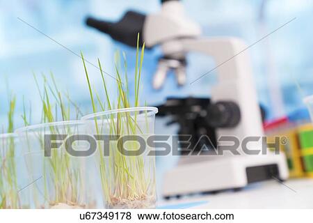 Stock Photo - Agriculture research, conceptual image.. Fotosearch