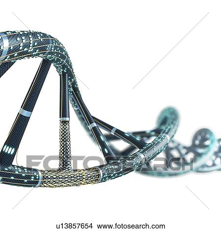 Artificial DNA molecule, illustration. View Large Photo Image Picture - Artificial DNA molecule, illustration.. Fotosearch