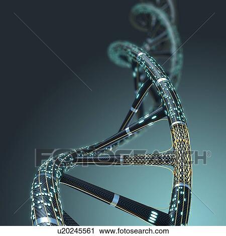 Artificial DNA molecule, illustration. View Large Photo Image Stock Image - Artificial DNA molecule, illustration.. Fotosearch