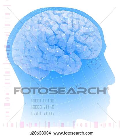 Artificial intelligence. Conceptual illustration of a human head overlaid with a stylised brain, representing artificial intelligence, the simulation of human intelligence by a machine. Binary numbers, which contain only 1 and 0, form the language of... View Large Photo Image Picture - Artificial intelligence. Conceptual illustration of a human head overlaid with a stylised brain, representing artificial intelligence, the simulation of human intelligence by a machine. Binary numbers, which contain only 1 and 0, form the language of.... Fotosearch