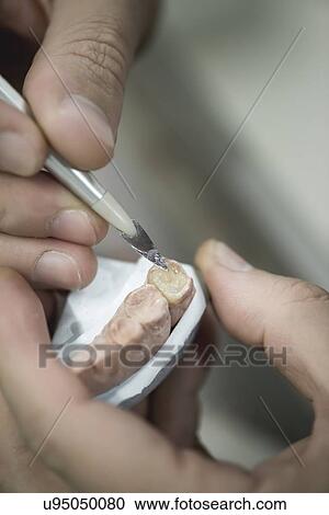 Stock Image - Artificial teeth.. Fotosearch