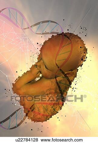 Baby and dna strand, illustration. View Large Photo Image Stock Photo - Baby and dna strand, illustration.. Fotosearch