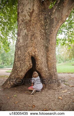 Stock Photography - Boy looking up hollow in tree. Fotosearch