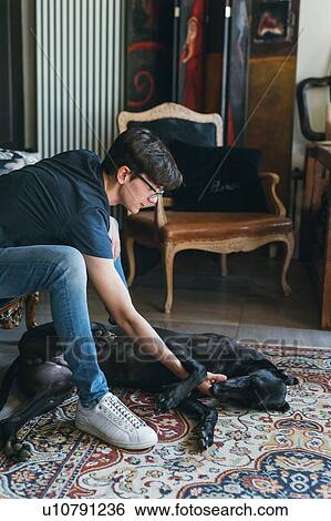 Boy stroking dog in living room View Large Photo Image Stock Photograph - Boy stroking dog in living room. Fotosearch