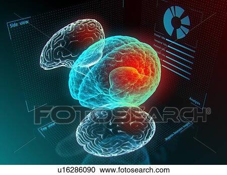 Brain research or diagnostic on the digital model in virtual reality. 3d illustration. View Large Photo Image Stock Image - Brain research or diagnostic on the digital model in virtual reality. 3d illustration.. Fotosearch