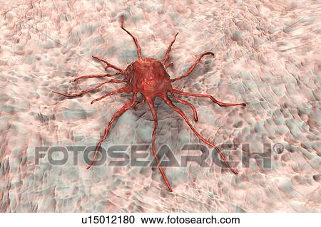 Stock Image - Cancer cell, computer illustration.. Fotosearch