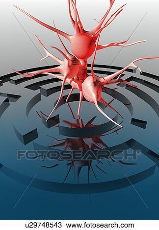 Stock Image - Cancer cells and maze, conceptual illustration.. Fotosearch