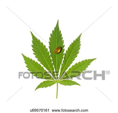 Stock Image - Cannabis leaf with oil capsule, illustration.. Fotosearch