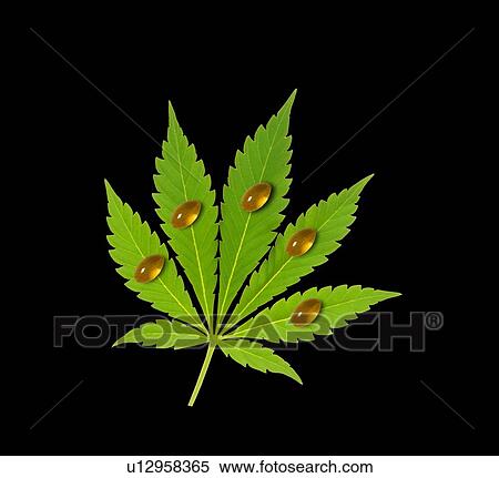 Stock Photography - Cannabis leaf with oil capsules, illustration.. Fotosearch