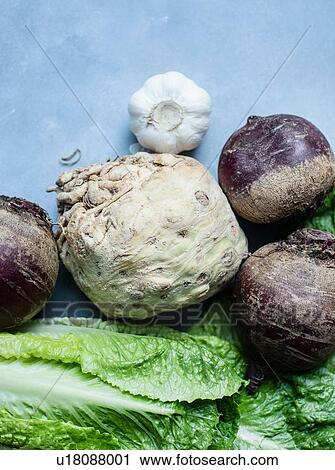 Celeriac, garlic, beetroot and romaine lettuce View Large Photo Image Stock Image - Celeriac, garlic, beetroot and romaine lettuce. Fotosearch