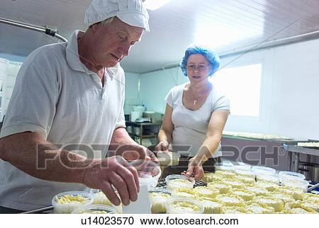 Stock Image - Cheesemakers 0eparing rows of fresh cheese. Fotosearch