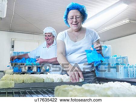 Stock Image - Cheesemakers 0eparing rows of fresh cheese. Fotosearch
