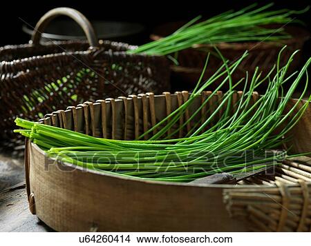 Chives View Large Photo Image Picture - Chives. Fotosearch