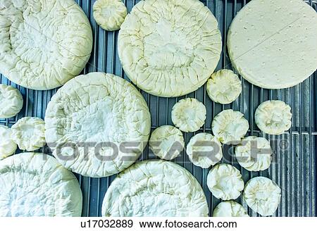 Stock Photo - Circles of fresh cheese on wire tray, overhead view. Fotosearch
