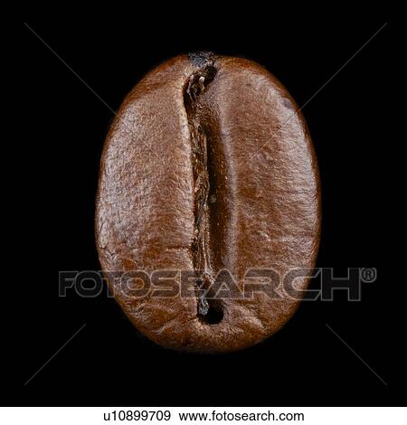 Coffee bean against a black background. View Large Photo Image Stock Photo - Coffee bean against a black background.. Fotosearch
