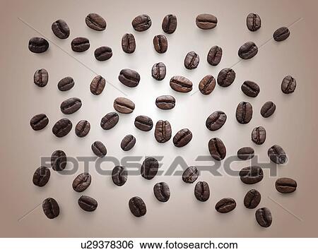 Stock Photograph - Coffee beans against a plain background.. Fotosearch