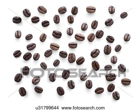 Coffee beans against a white background. View Large Photo Image Picture - Coffee beans against a white background.. Fotosearch