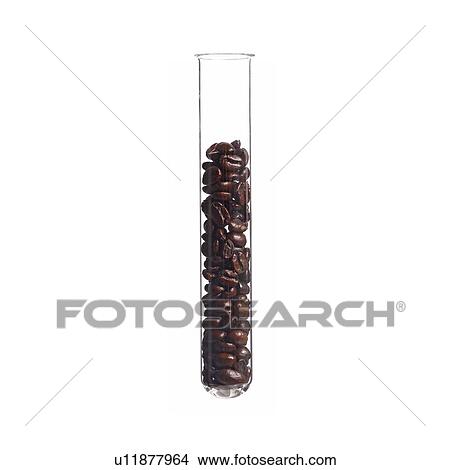 Coffee beans in a test tube, studio shot. View Large Photo Image Picture - Coffee beans in a test tube, studio shot.. Fotosearch