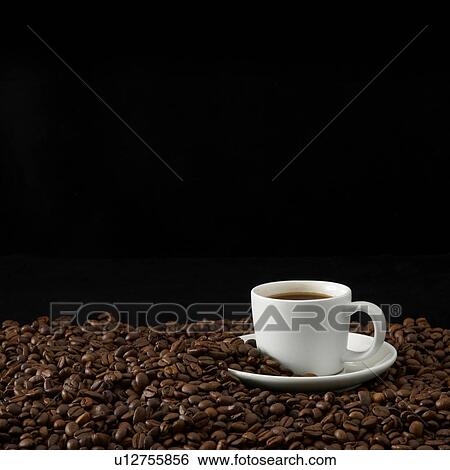 Coffee cup with coffee beans, studio shot. View Large Photo Image Stock Photograph - Coffee cup with coffee beans, studio shot.. Fotosearch
