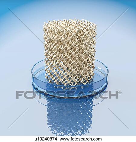 Picture - Concept of bioprinting of human bone. Petri dish with spongy structure in the medical laboratory. 3D illustration.. Fotosearch