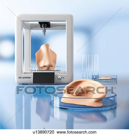 Concept of bioprinting of tissues and organs. Human ear and nose ready for transplantation to the patient. 3D illustration. View Large Photo Image Stock Image - Concept of bioprinting of tissues and organs. Human ear and nose ready for transplantation to the patient. 3D illustration.. Fotosearch