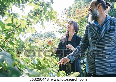 Couple in their garden View Large Photo Image Stock Image - Couple in their garden. Fotosearch