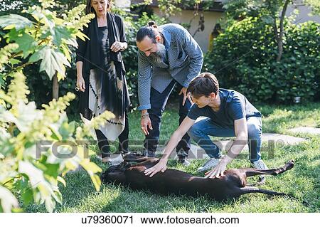 Stock Image - Couple with son and pet dog in garden. Fotosearch