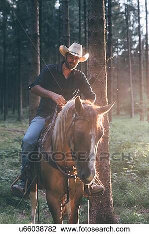Cowboy on horseback in forest, portrait, Primaluna, Trentino-Alto Adige, Italy View Large Photo Image Stock Image - Cowboy on horseback in forest, portrait, Primaluna, Trentino-Alto Adige, Italy. Fotosearch