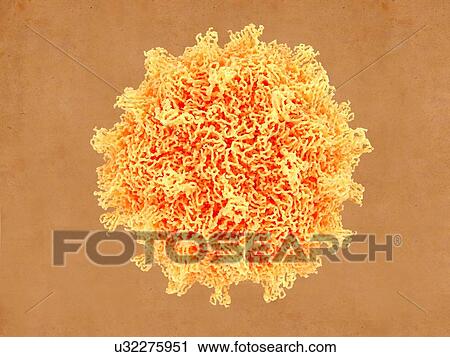 Stock Image - Coxsackievirus virus particle, illustration. Coxsackie virus particles (virions) consist of an outer protein coat (capsid) encasing RNA (ribonucleic acid), the genetic material of the virus. Coxsackievirus is s type of enterovirus. It is among the.... Fotosearch