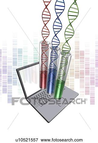 Stock Photo - Dan (Deoxyribonucleic acid) and laptop, illustration.. Fotosearch