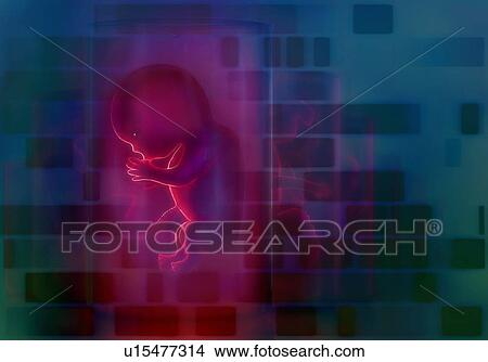 Designer babies, conceptual illustration. Row of foetuses overlaid with a DNA autoradiograph 'genetic fingerprint' (rows of blue and black bands). This could depict gene manipulation in gene therapy, cloning, or adapting the baby's genes to give... View Large Photo Image Picture - Designer babies, conceptual illustration. Row of foetuses overlaid with a DNA autoradiograph 'genetic fingerprint' (rows of blue and black bands). This could depict gene manipulation in gene therapy, cloning, or adapting the baby's genes to give.... Fotosearch