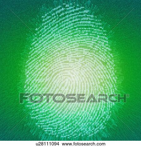 Picture - Digital fingerprint. Illustration of a human fingerprint represented as a series of ones and zeros, the binary code used in computing.. Fotosearch
