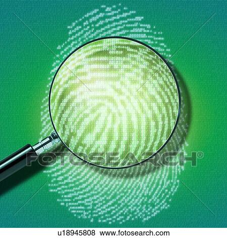Stock Photo - Digital fingerprint. Illustration of a human fingerprint represented as a series of ones and zeros, the binary code used in computing. A magnifying glass is shown examining the print.. Fotosearch